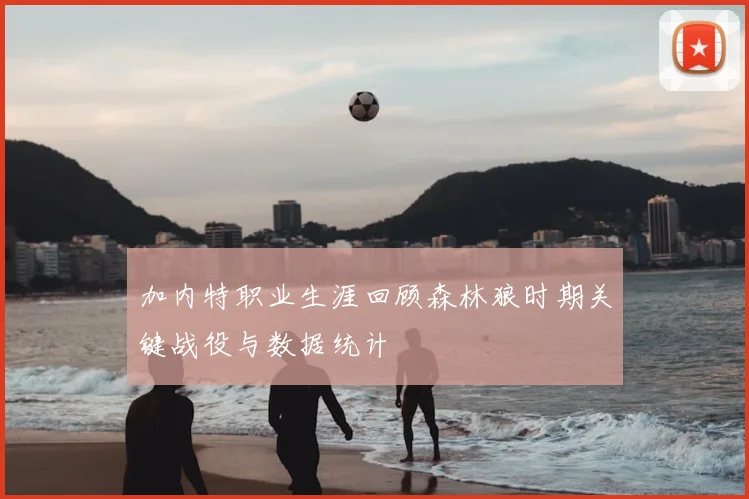 加内特职业生涯回顾森林狼时期关键战役与数据统计