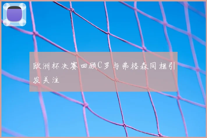欧洲杯决赛回顾C罗与弗格森同框引发关注