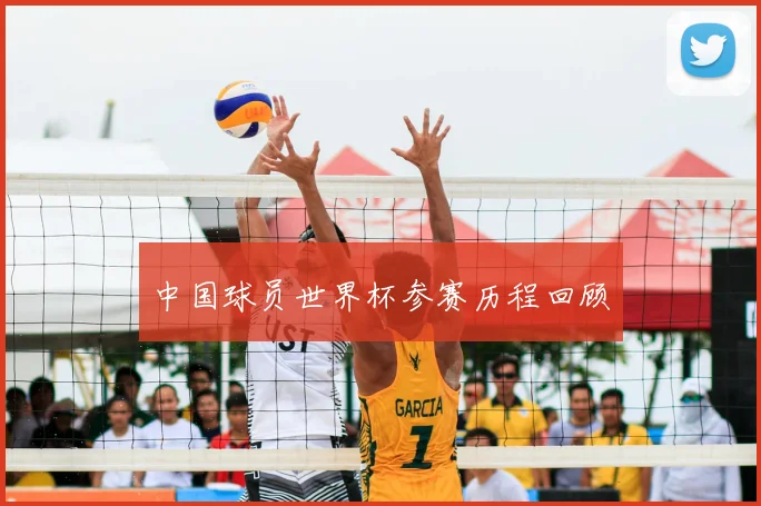 中国球员世界杯参赛历程回顾