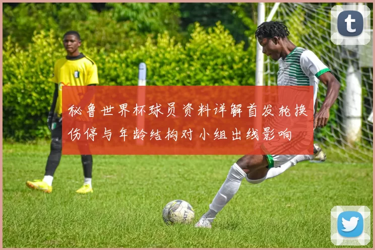 秘鲁世界杯球员资料详解首发轮换伤停与年龄结构对小组出线影响