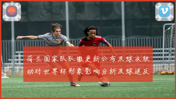 荷兰国家队队徽更新公布及球衣联动对世界杯形象影响分析及球迷反应